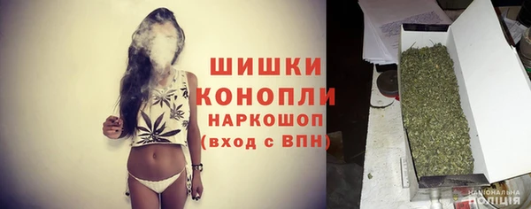 спайс Богданович