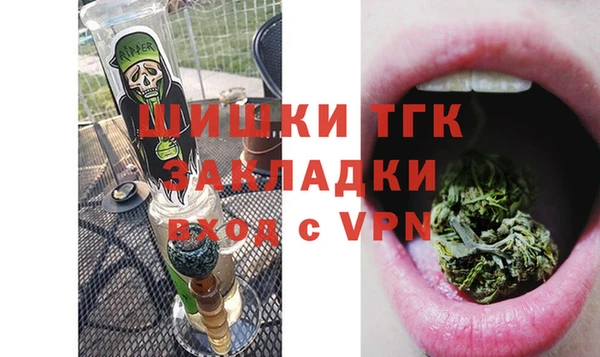 спайс Богданович