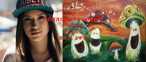 спайс Великий Новгород