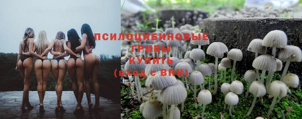 спайс Богданович